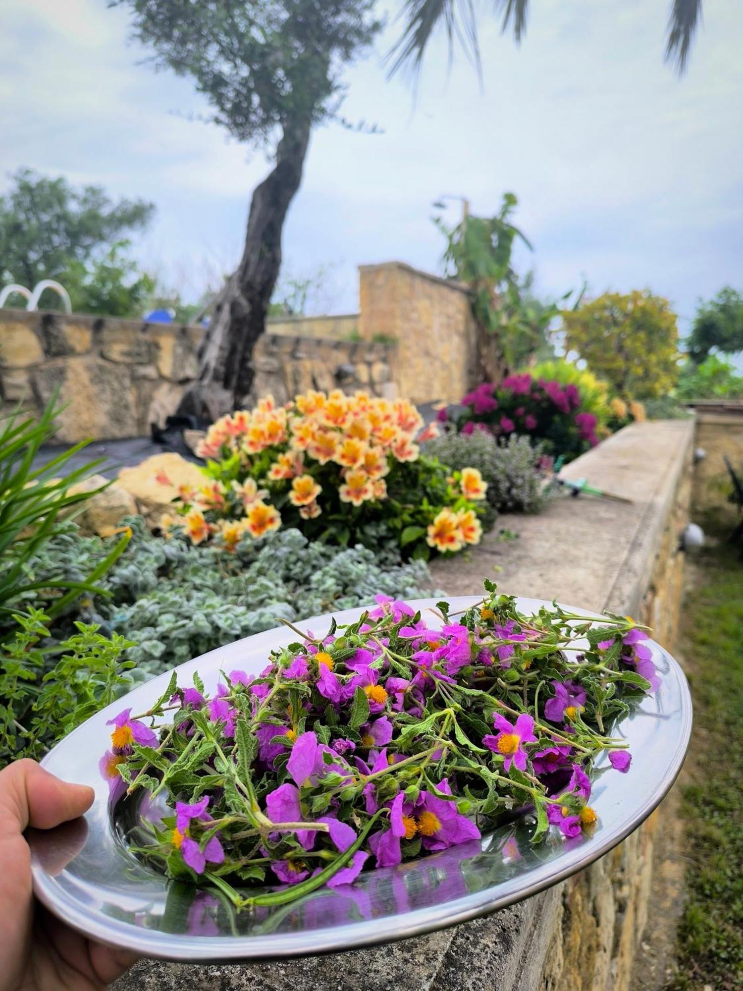 Villa Koulouridi Daratsos Exteriér fotografie